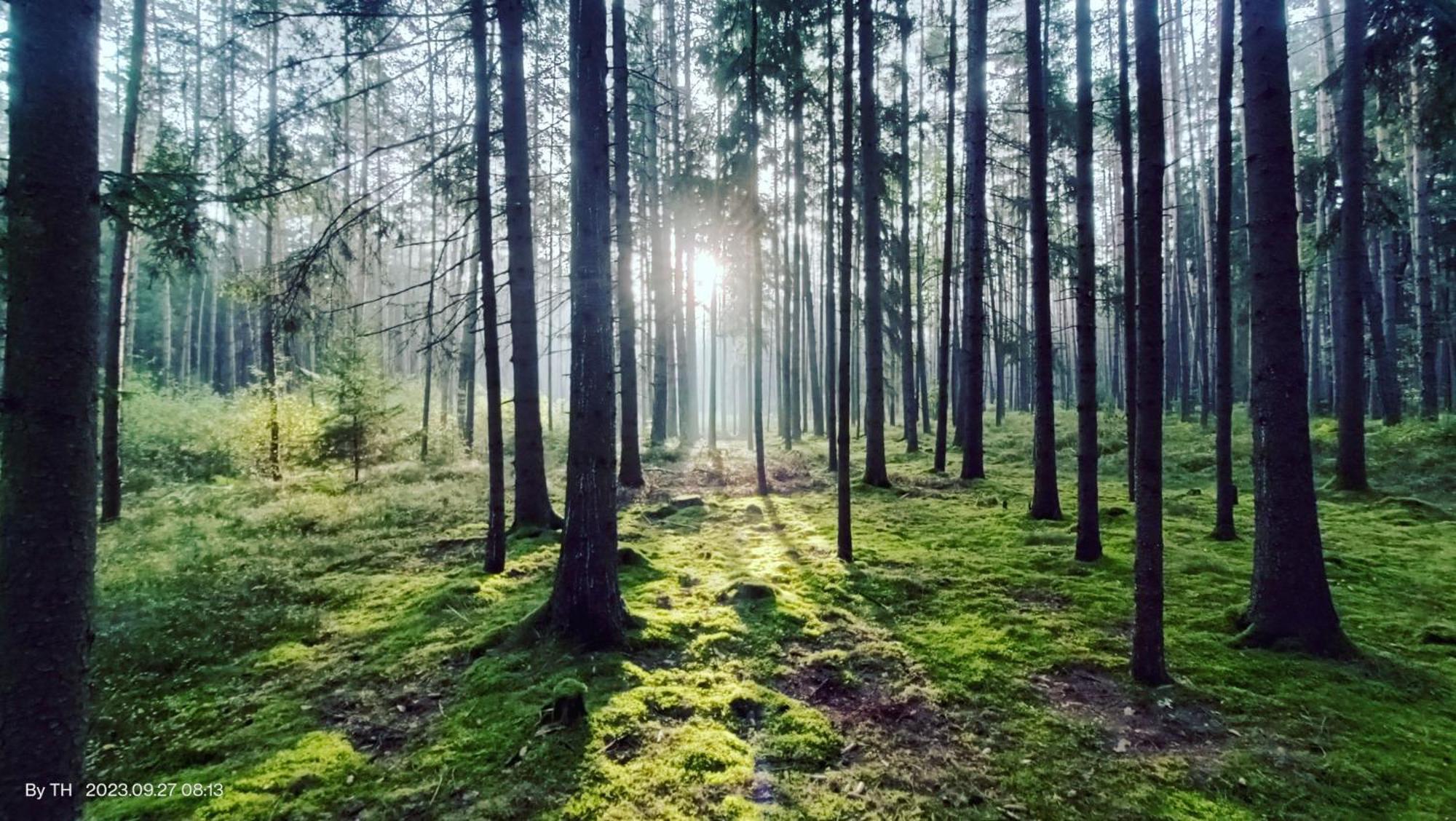 Chata Marecek - V Lesni Osade U Reky Luznice Skalice Dış mekan fotoğraf